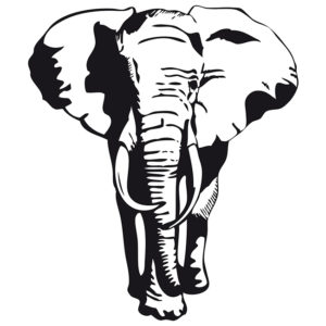 Elefante