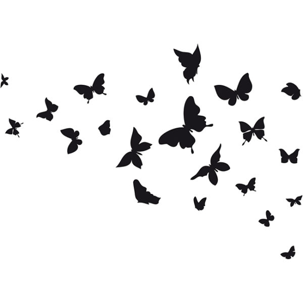 Volo di farfalle-1852